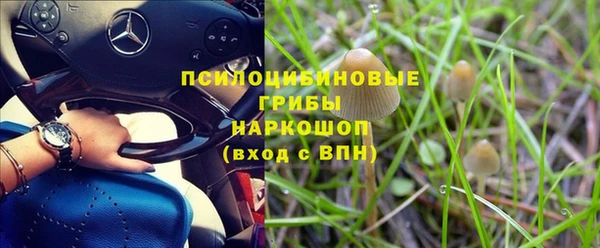 бошки Заволжск
