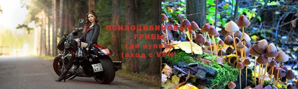 гашик Заволжье