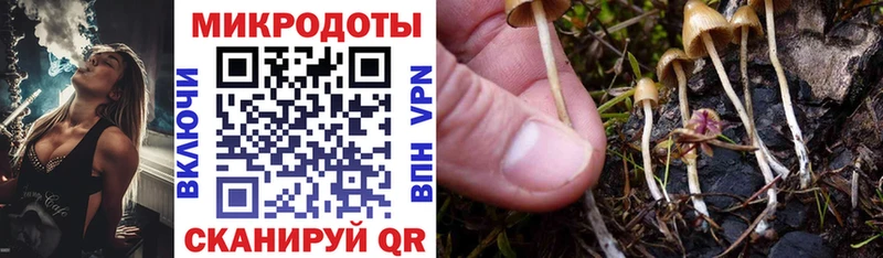 Галлюциногенные грибы Magic Shrooms  Купить  Дюртюли 