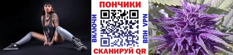 Купить где  Дюртюли  Каннабис конопля 